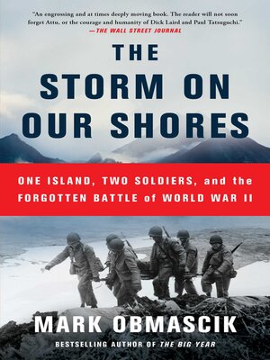 cover image of The Storm on Our Shores